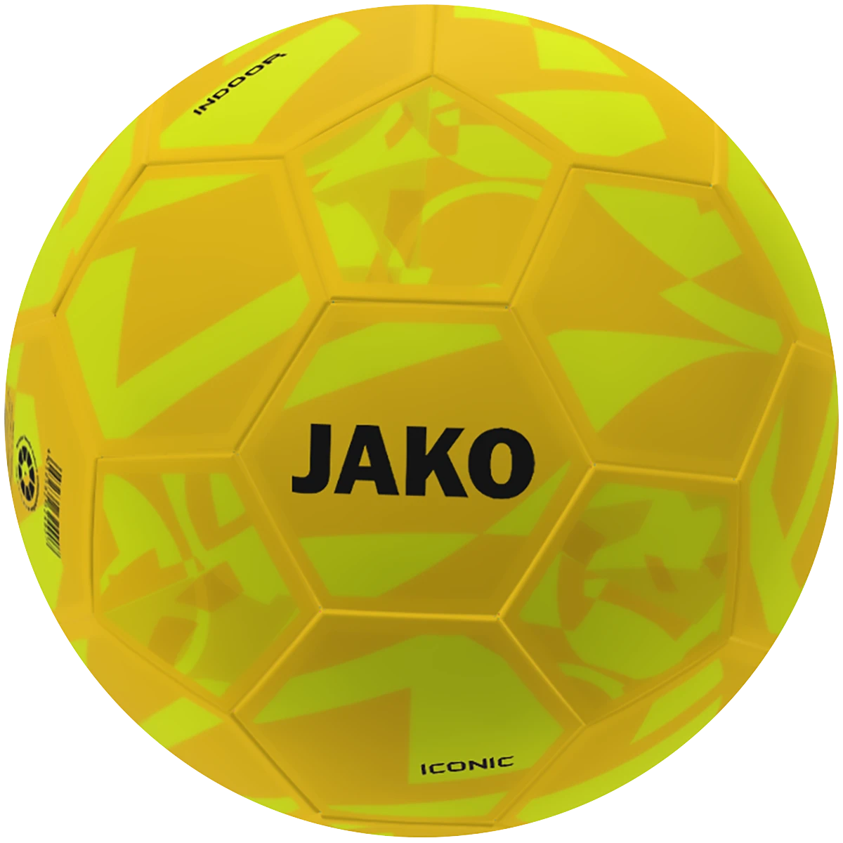 Indoorball Iconic