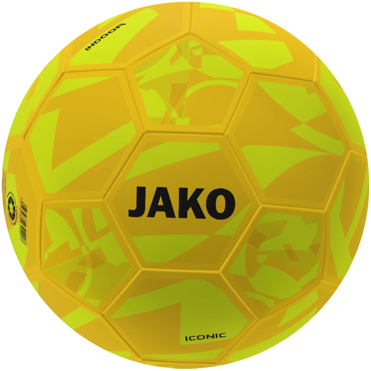 Indoorball Iconic