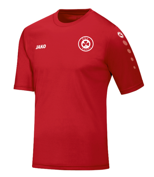 Jako Trikot Team inkl. Logo