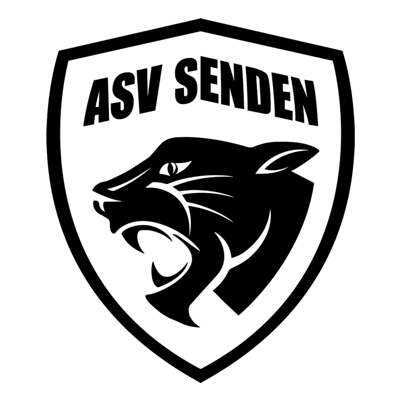3er Set Aufkleber ASV Senden Handball