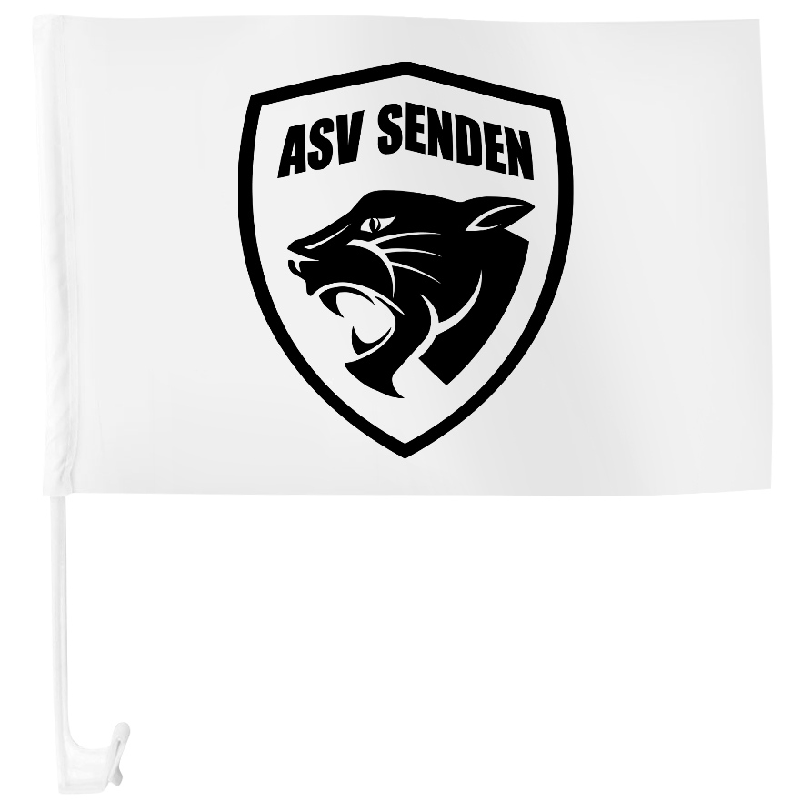 Autoflagge ASV Senden Handball