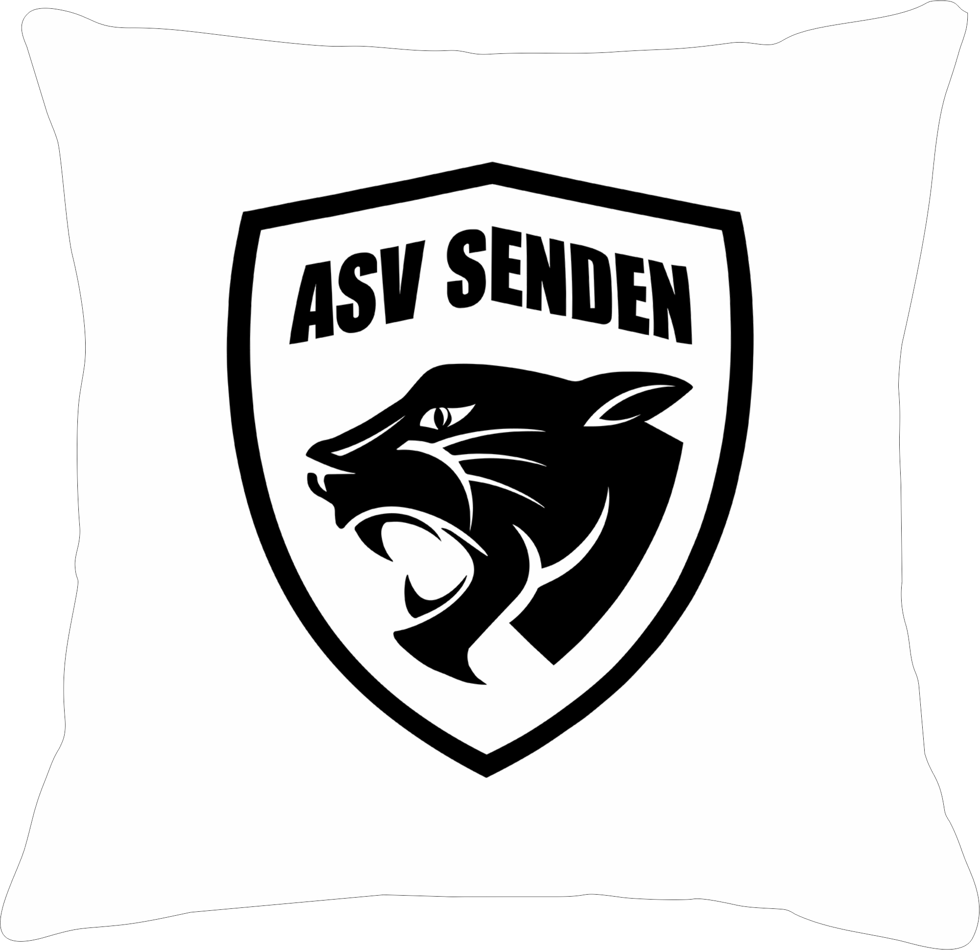 Kissen ASV Senden Handball
